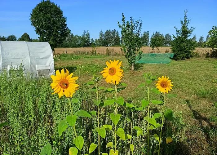 Swierkowe Siedlisko Pokoje Goscinne